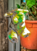 igp9479_80_81
