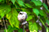igp9524_5_6