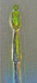 igp9815