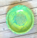 igp9851