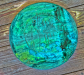 igp9866
