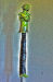 igp9902